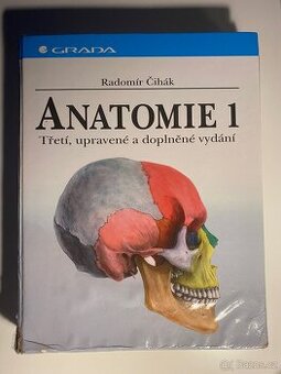 Anatomie Čihák 1