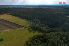 Prodej lesa, 147 m², Chotěmice