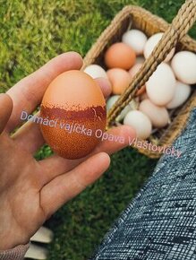 Domácí vajíčka, vejce