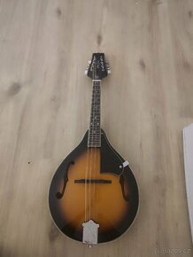 Mandolína Harley Benton HBMA-50 VS - 1