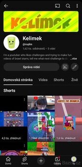 Fortnite / brawl stars trenér a učitel pro infulencery