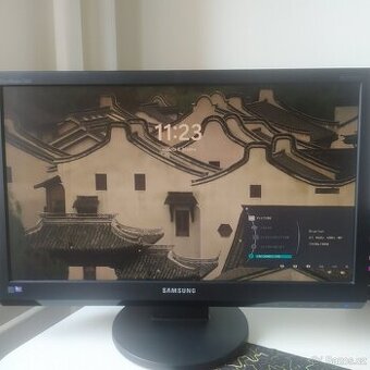 Samsung 2494LW, 24"