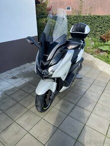 Honda forza 125 - 1