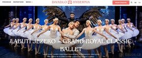 3x LABUTÍ JEZERO - GRAND ROYAL CLASSIC BALLET - 31.1.2025