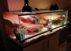 Terarium 100cm - 1