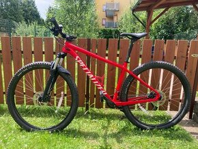 Specialized Rockhopper 29” L