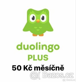 Duolingo PLUS (SUPER)