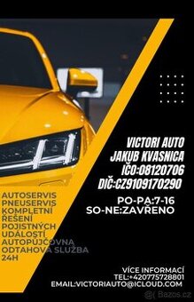 Automechanika- diagnostika/ Automechaničku/ diagnostičku 