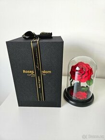 Červená růže ve skle Roses Kingdom, vel. medium