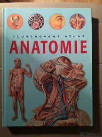 Anatomie