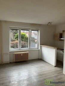 Pronájem byty 1+kk, 24 m2 - Ostrava - Hrabůvka, ev.č. 00661