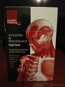 Anatomy&Physiology Flash Cards - 1