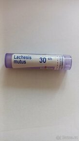 Homeopatika Lachesis mutus - 1