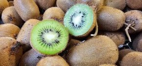 Domácí BIO Kiwi - 1