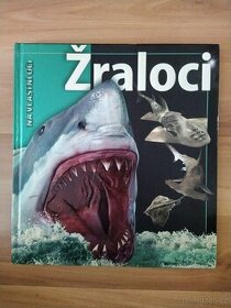 Žraloci - 1