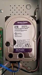 WD Purple 4TB