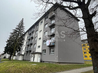 Milovice, pronájem bytu 2+kk+B, 32 m2, okr. Nymburk.