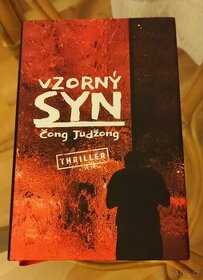 Vzorný syn