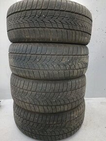 225/50 R17 zimní