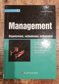 Management - Organizování, rozhodování, ovlivňování