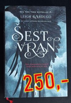 Šest vran - Leigh Bardugo