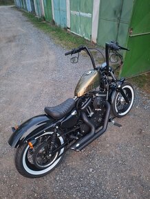 Harley Davidson (48) Forty Eight