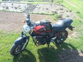 Yamaha FZ6n