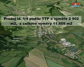 Prodej louky, 2902 m², Velká nad Veličkou - 1