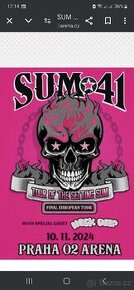 SUM 41- 1 vstupenka