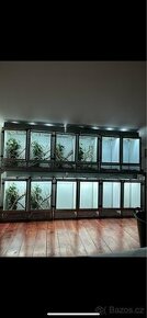 Terarium/ sestava terarii - 1