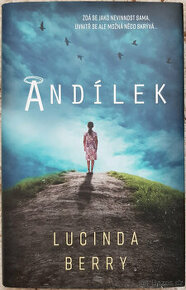 Andílek (Lucinda Berry)