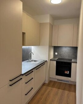 Pronájem bytu 1+kk 41 m² - Svitákova (PRAHA)