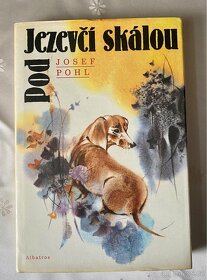 POD JEZEVČÍ SKÁLOU - Josef Pohl