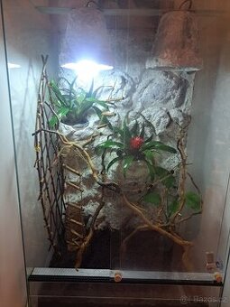 Terarium pro chameleona - 1