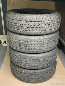 Zimní Nokian Tyres Lapponia W 225/60 R17 99V