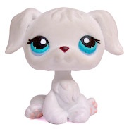 Hledám tohoto pejska lps Littlest pet shop