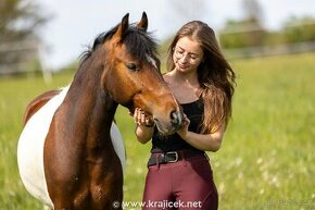 Úžasná pony klisna pro sport či rekreaci - 1