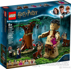 LEGO 75967 Harry Potter - Zapovězený les