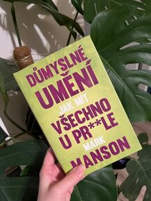 Důmyslné umění, jak mít všechno u prdele, Mark Manson