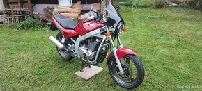 Suzuki GS500e - 1