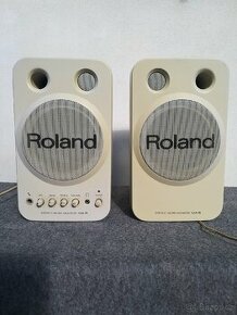 Roland bedny monitory - 1