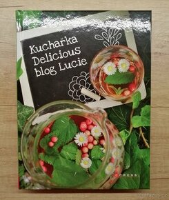 Kuchařka Delicious blog Lucie