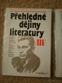 Přehledné dějiny literatury II - III