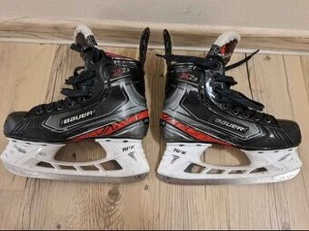 Brusle Bauer Vapor X 2.9 (EUR 36)