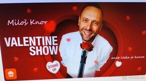 STAND -UP VALENTÝN SHOW 2 vstupenky