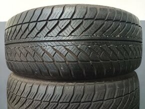 225/55 R17 GOODYEAR (3916)