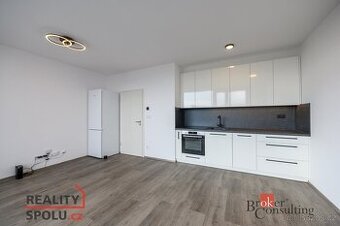 Pronájem, byty/1+kk, 44 m2, Železná 3061/10, Jižní Předměstí