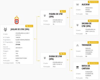 Exkluzivní Lusitano kobyla - 20