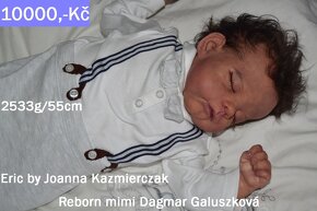 Prodám reborn dvojčátka Eric/Erica - 20