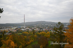 Pronájem bytu 3+1, Soběšická, Husovice,  24.000 Kč/měs, 69 m - 20